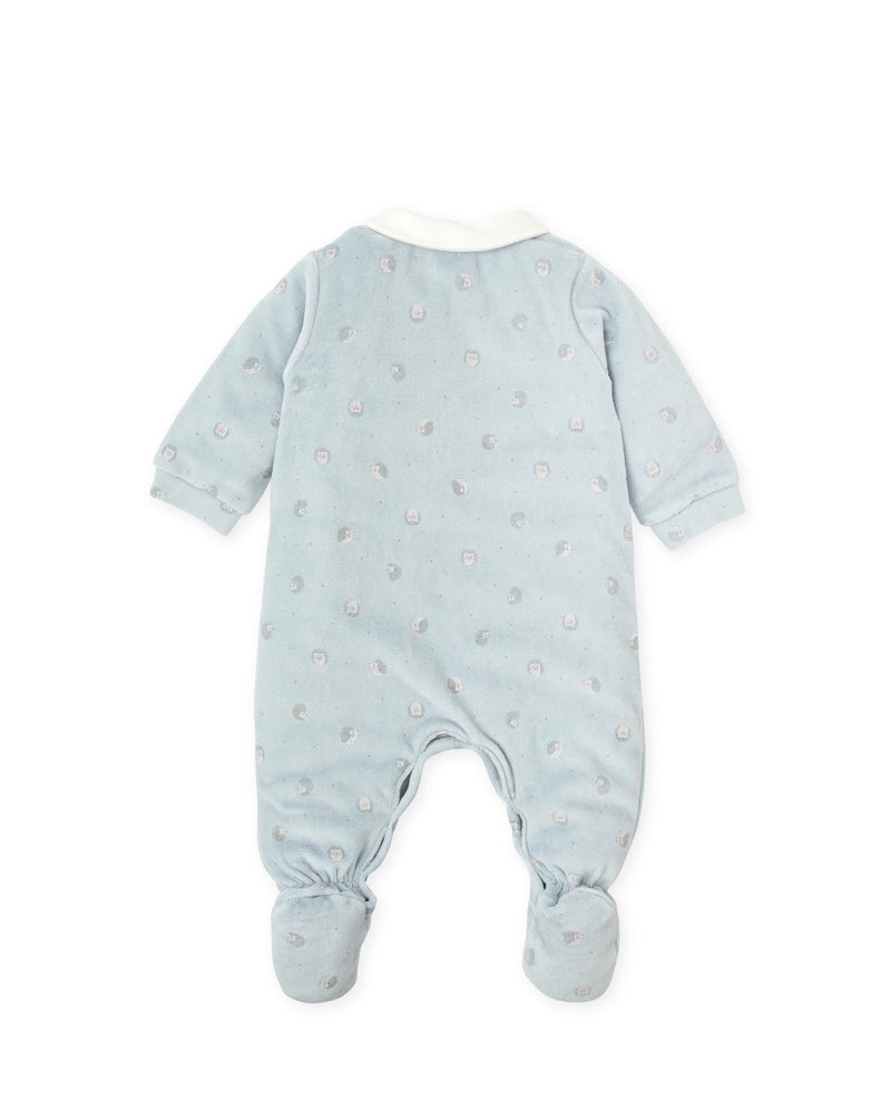 Baby Boy Blue Hedgehog Velour Babygrow (Tutto Piccolo)