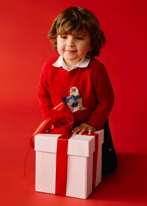Baby Boy Red Walrus Jumper