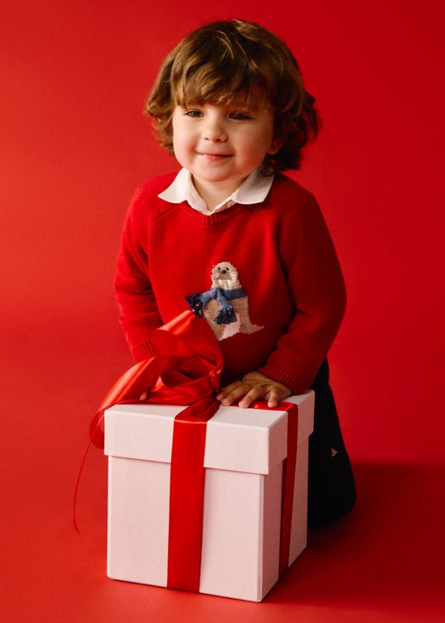 Baby Boy Red Walrus Jumper