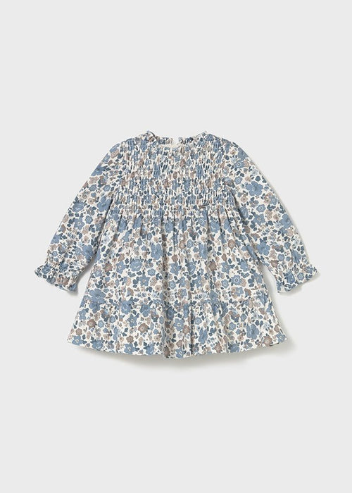 Baby Girl Blue Floral Velvet Dress