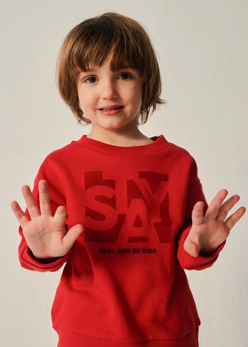 Boy Red Drop Shoulder Jumper