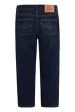 Boys 510 Skinny Fit Jeans - Machu Picchu