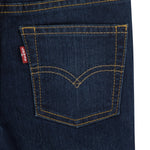 Boys 510 Skinny Fit Jeans - Machu Picchu