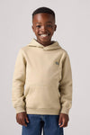 Boys Beige Cotton Hoodie