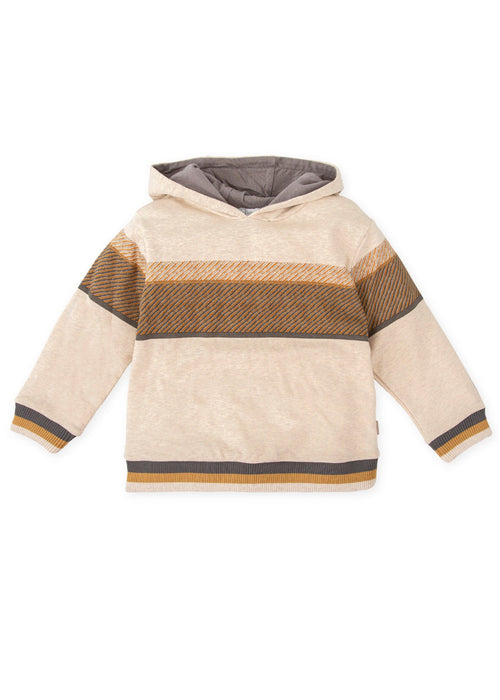 Boys Beige Hooded Sweatshirt