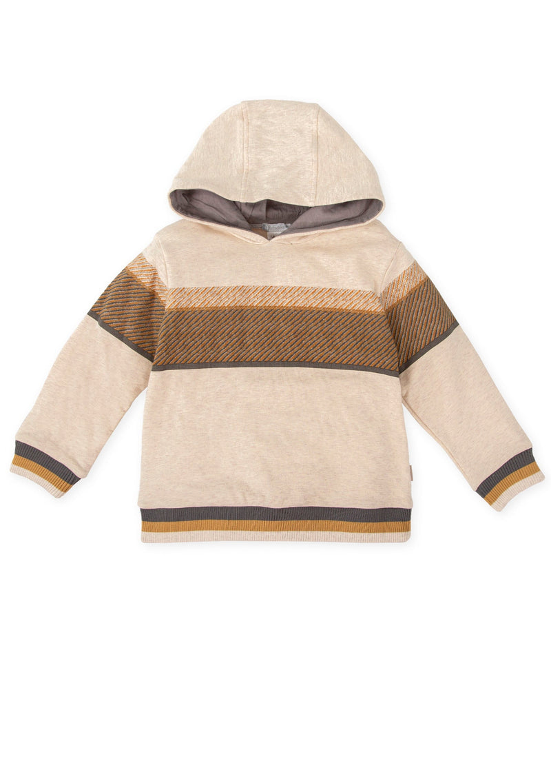 Boys Beige Hooded Sweatshirt