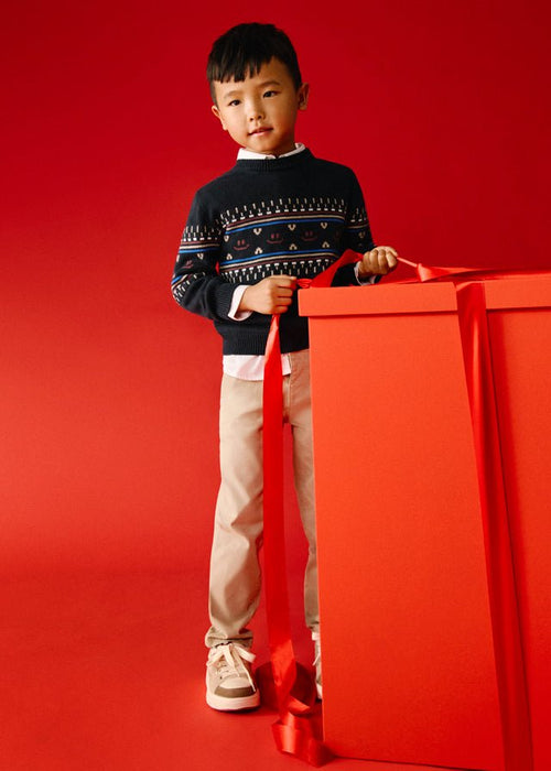 Boys Beige Slim Fit Chinos Trousers