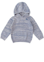 Boys Blue Hooded Jumper