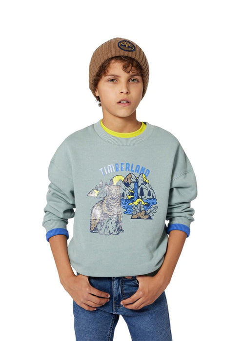 Boys Brown Ribbed Knit Beanie