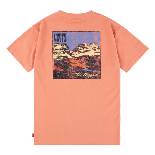 Boys Canyon Landscape Tee