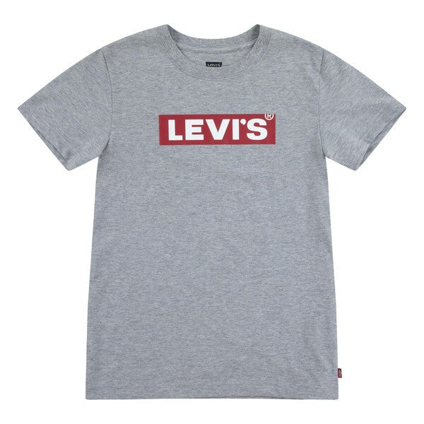 Boys Classic Grey Logo Tee