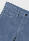 Boys Cord Trousers in Blue
