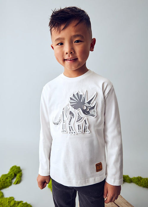 Boys Cream Long - Sleeve Dinosaur T-Shirt