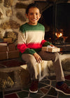 Boys Festive Crew Neck Knit Sweater