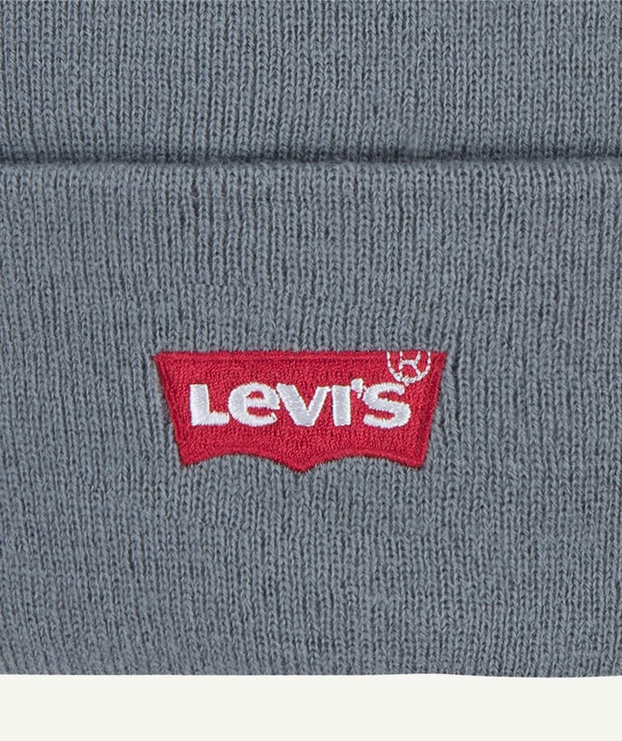 Boys Gray Levi's Core Batwing Beanie (Levis)