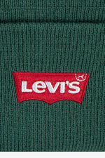Boys Green Core Batwing Beanie