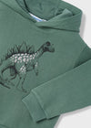 Boys Green Dinosaur Print Hoodie