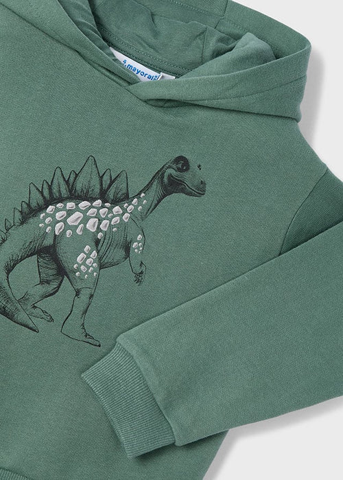 Boys Green Dinosaur Print Hoodie