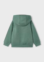 Boys Green Dinosaur Print Hoodie