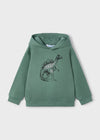 Boys Green Dinosaur Print Hoodie