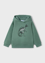 Boys Green Dinosaur Print Hoodie