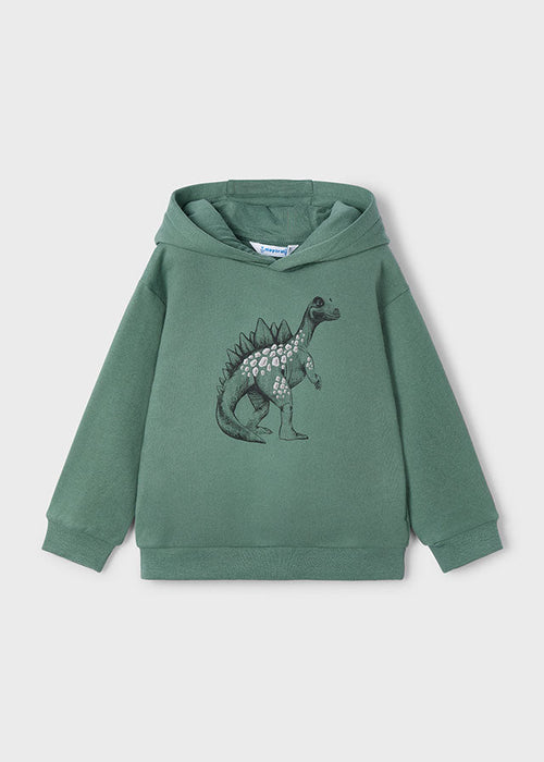 Boys Green Dinosaur Print Hoodie