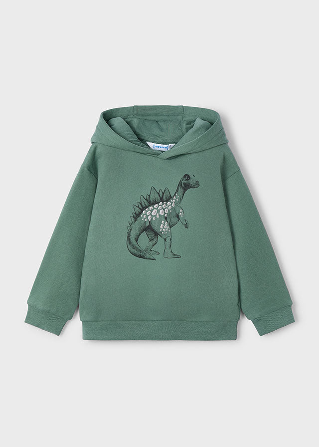Boys Green Dinosaur Print Hoodie