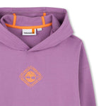 Boys Hooded Sweatshirt with Printed Logo