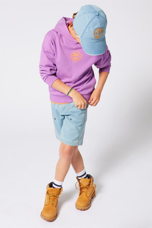 Boys Hooded Sweatshirt with Printed Logo