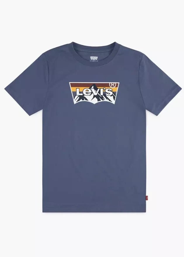 Boys' Mountain Batwing Graphic Tee – Blue