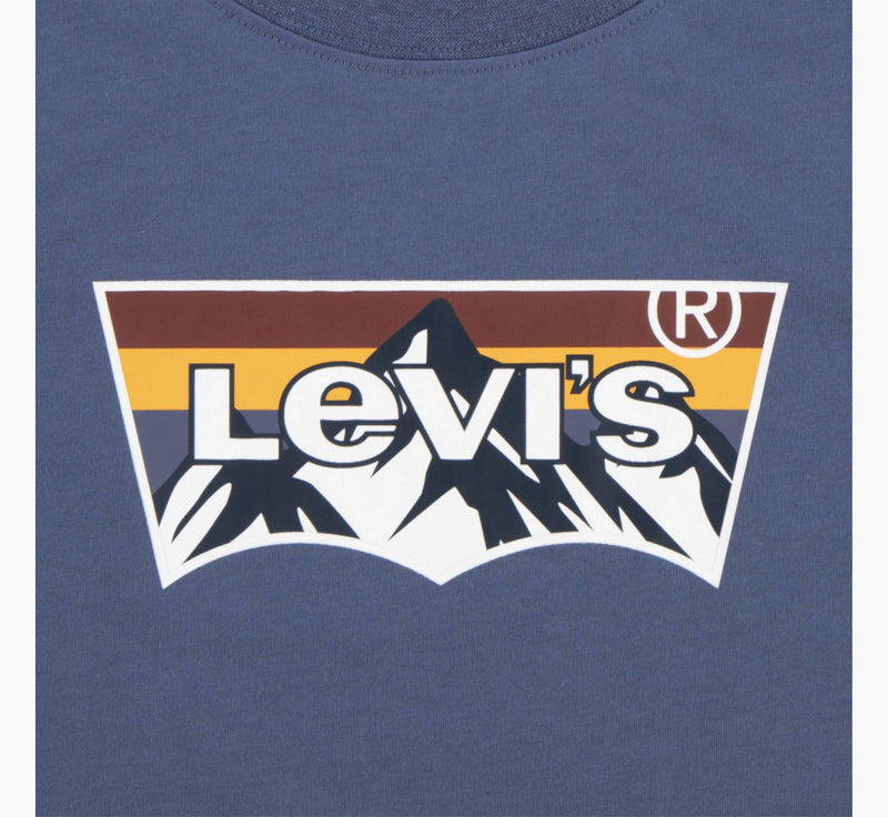 Boys' Mountain Batwing Graphic Tee – Blue