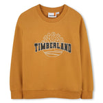 Boys' Mustard Sweatshirt with Logo Print