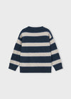Boys Navy & Beige Striped Jumper