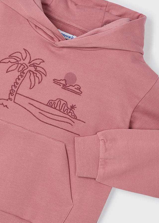 Boys Pink Embroidered Hoodie