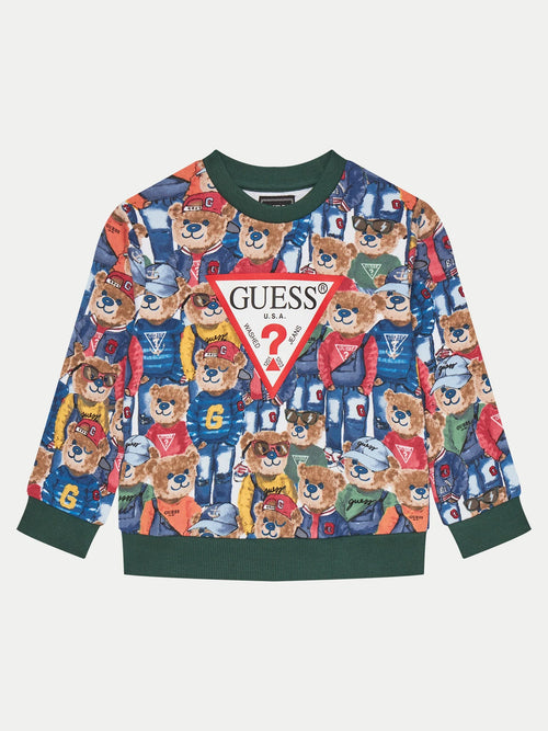 Boys Teddy Graphic Sweatshirt