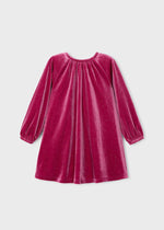 Girls Sparkly Velvet Dress with Back Bow