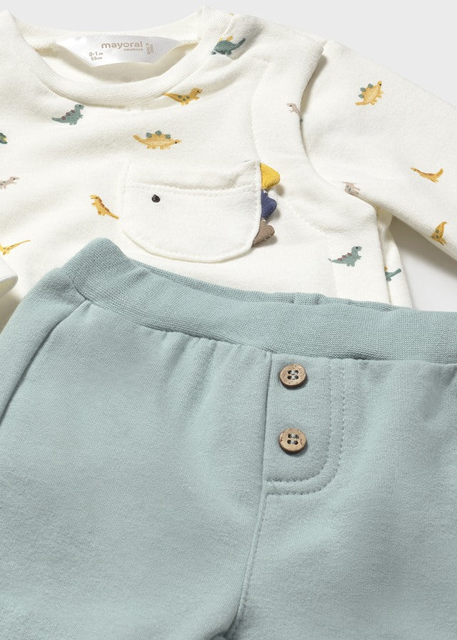 Newborn Boy 2 - Piece Dinosaur Knit Outfit