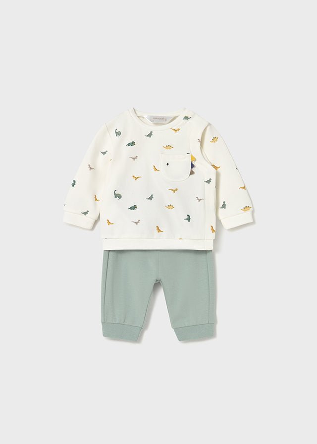 Newborn Boy 2 - Piece Dinosaur Knit Outfit
