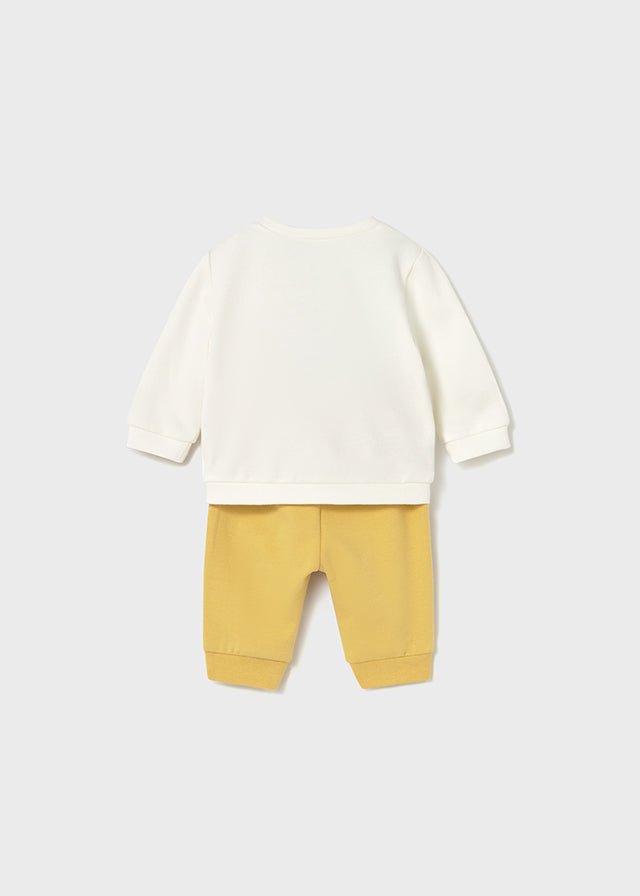 Newborn Boy 2 - Piece Dinosaur Knit Outfit