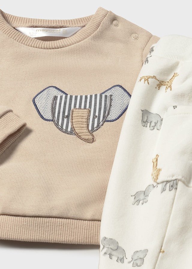 Newborn Boy 2 - Piece Knit Jungle Print Outfit