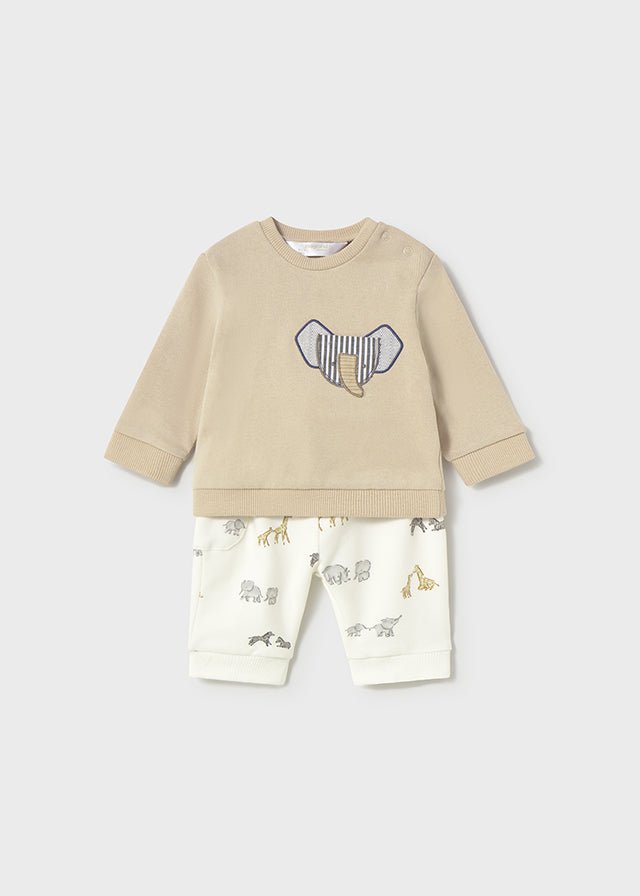 Newborn Boy 2 - Piece Knit Jungle Print Outfit