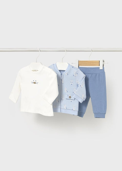 Newborn Boy 3 - Piece Blue Bunny Tracksuit Set