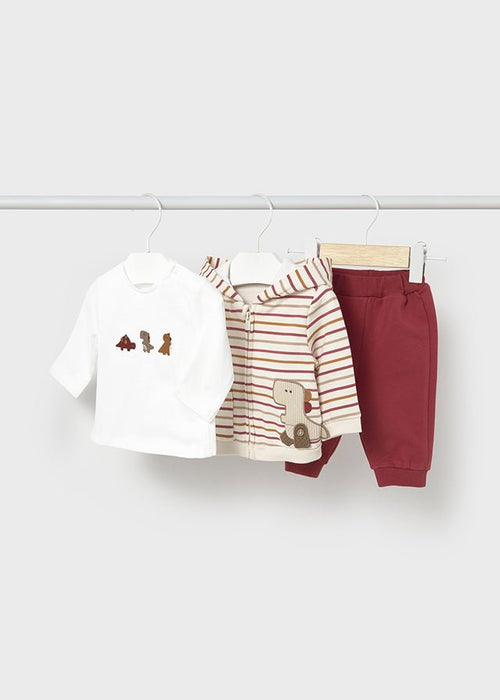 Newborn Boy 3 - Piece Tracksuit with Dinosaur Hoodie