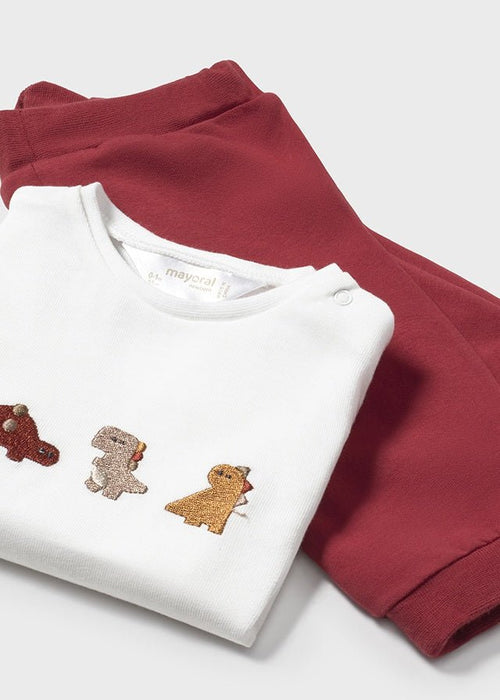 Newborn Boy 3 - Piece Tracksuit with Dinosaur Hoodie