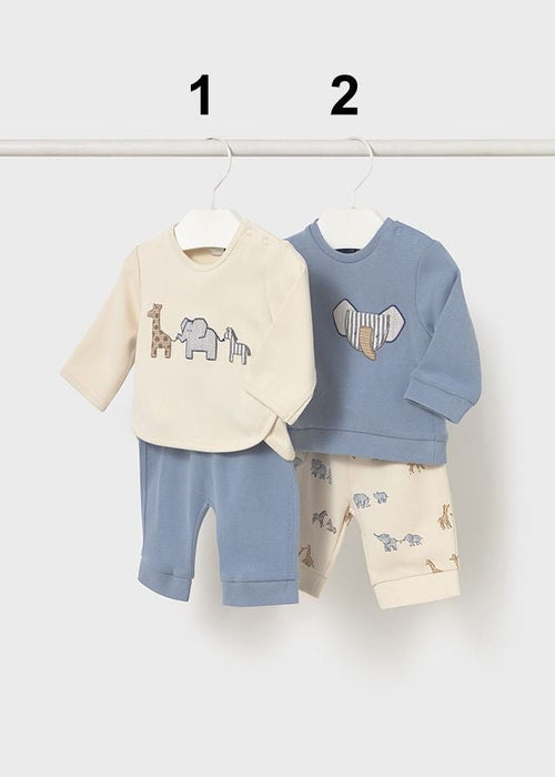 Newborn Boy Animal Print Outfit