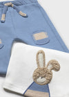 Newborn Boy Blue & Beige Bunny 3 - Piece Tracksuit