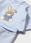 Newborn Boy Blue Bunny 2 - Piece Set