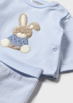 Newborn Boy Blue Bunny 2 - Piece Set