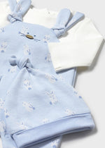 Newborn Boy Blue Bunny Dungaree & Hat Set