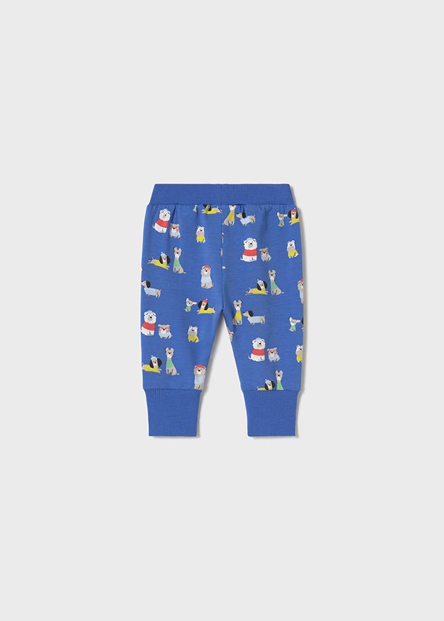 Newborn Boy Blue Dog Print 3 - Piece Tracksuit Set